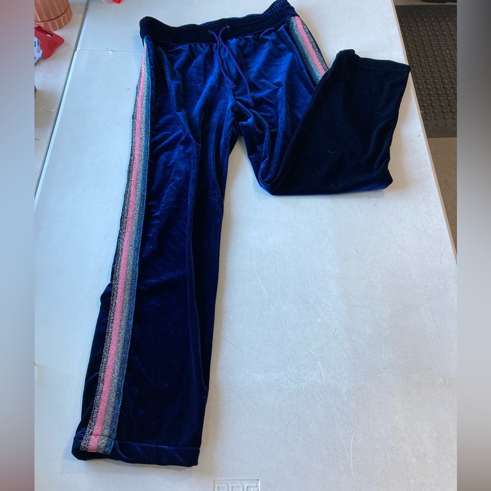 MOTHER Women’s Blue Velvet Glitter Stripe Pants Size Medium